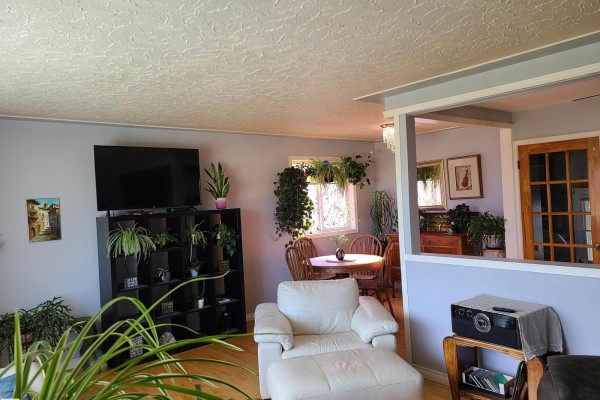 Family room - 13312 123 St Nw Nw, Edmonton, AB T5L0J9 Photo 4