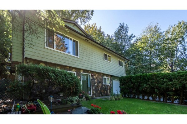 13314 114 Avenue, Surrey, BC V3R2L3 Photo 5
