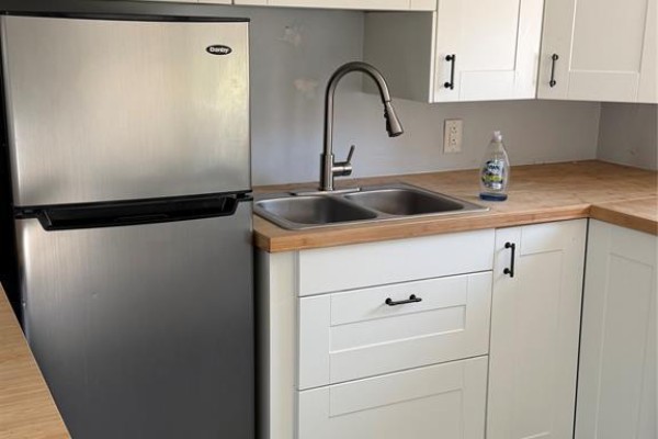 Stainless steel refrigerator next to a double sink, grey backsplash, and white cabinets with wooden countertop. - 1337 Assumption Street Unit# 1, Windsor