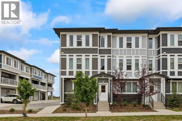 Furnace - 134 Belmont Street Sw, Calgary, AB T2X5X5 Photo 3