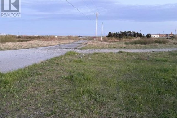 134 West Street, Stephenville, NL A2N1E4 Photo 5