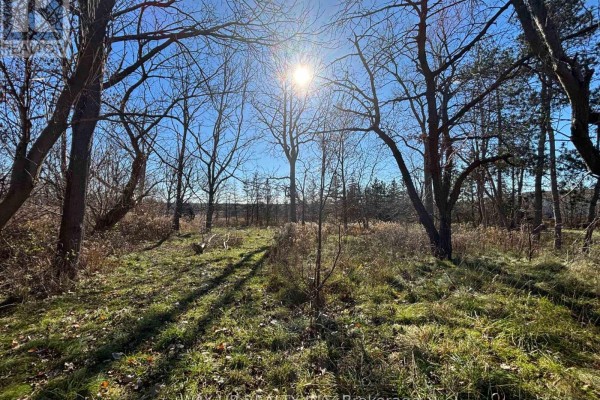 1343 Sunningdale Road E, London North, ON N5X4B1 Photo 4