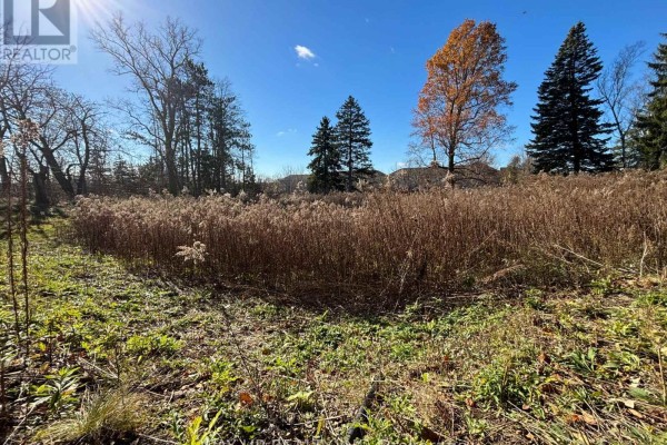 1343 Sunningdale Road E, London North, ON N5X4B1 Photo 5