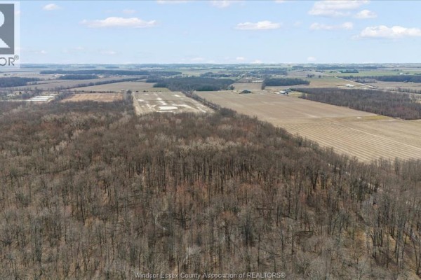 1344 South Malden, Essex, ON N8M2X6 Photo 5