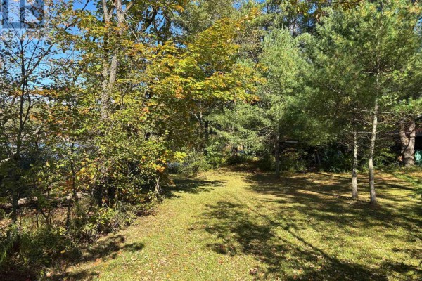 1345 Highway 118 East, Bracebridge, ON P1L1X1 Photo 3