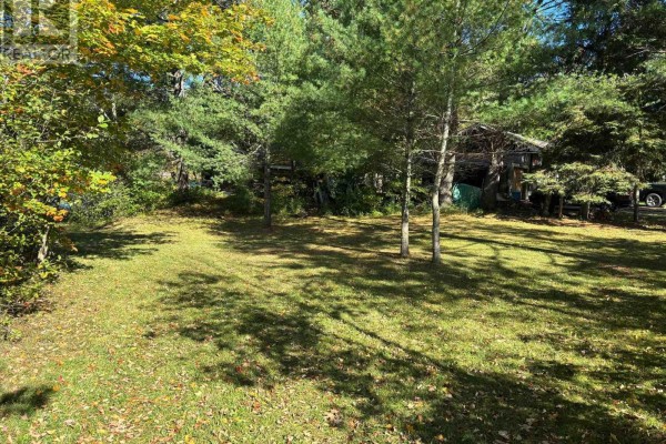 1345 Highway 118 East, Bracebridge, ON P1L1X1 Photo 5