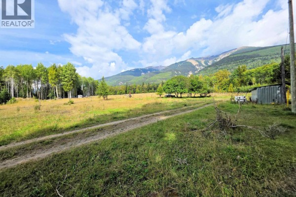 13490 Bunbury Road, Dunster, BC V0J1J0 Photo 4