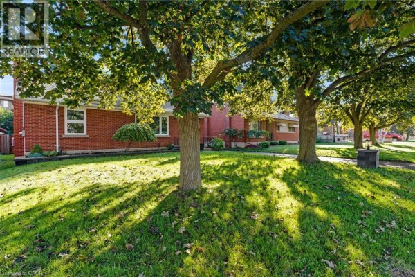 Cold room - 135 Patricia Avenue, Kitchener, ON N2M1J5 Photo 3