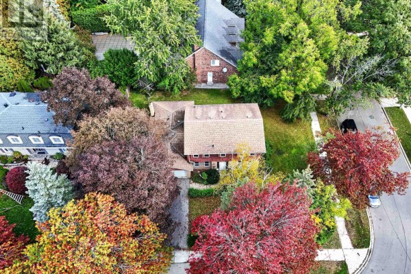 Den - 1353 Bunsden Avenue, Mississauga, ON L5H2B3 Photo 2