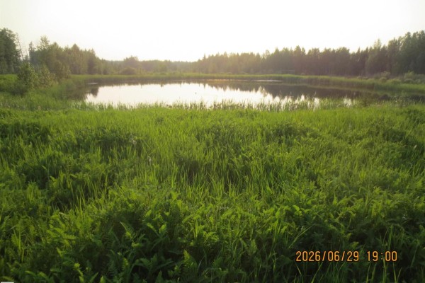 13530 Township Road 550, Rural Yellowhead, AB T7E3Z4 Photo 4