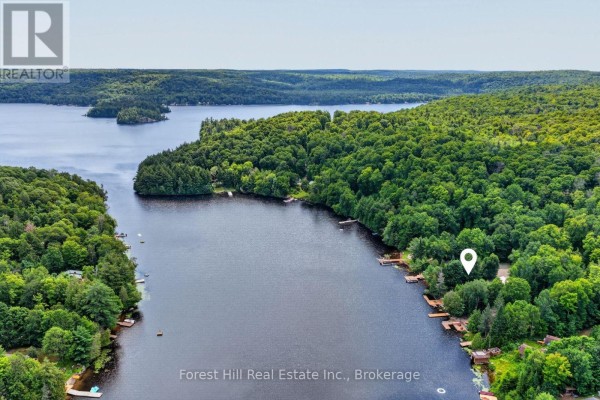 1355 Bellwood Acres Road, Lake Of Bays, ON P0A1E0 Photo 4