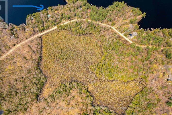 1356 Dickie Lake Road, Lake Of Bays, ON, photo 2