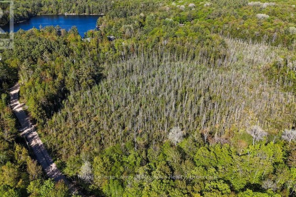 1356 Dickie Lake Road, Lake Of Bays, ON, photo 3