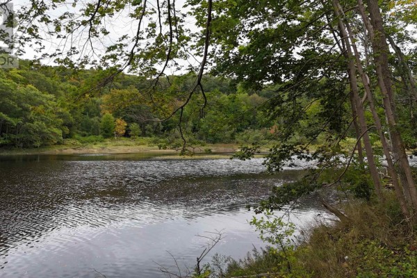 1357 River Road, Bear River, NS B0S1B0 Photo 3