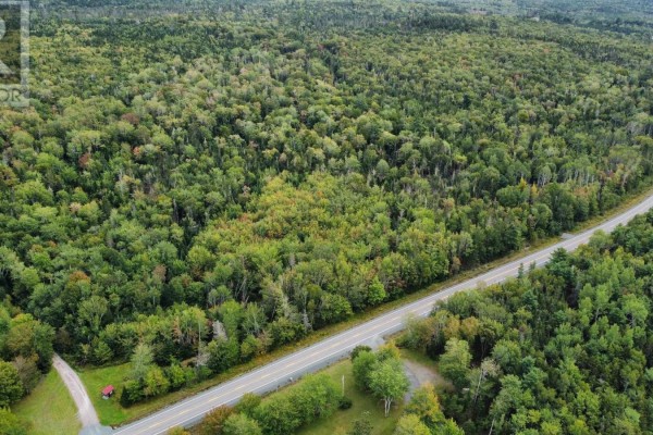 13592 Highway 7, Lochiel Lake, NS B2G2L3 Photo 2