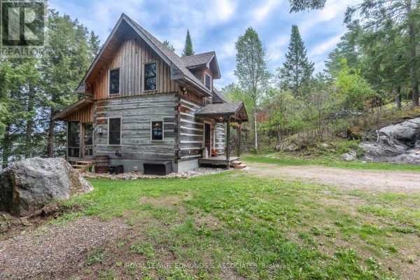 135b Bleski Road, Madawaska Valley, ON K0J1B0 Photo 4