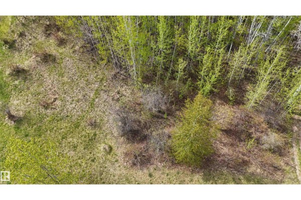 136 5509 Township Road 494, Rural Brazeau County, AB, photo 2