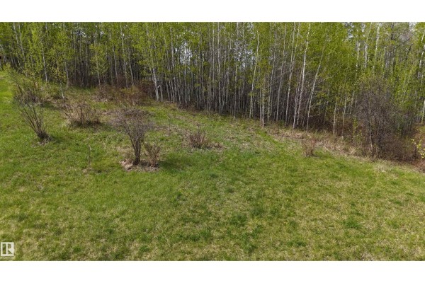 136 5509 Township Road 494, Rural Brazeau County, AB, photo 3