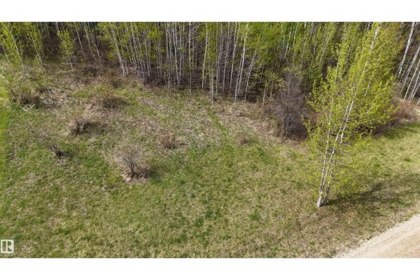 136 5509 Township Road 494, Rural Brazeau County, AB T0C1W0 Photo 5