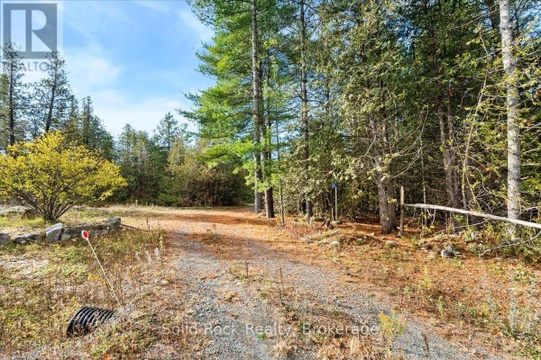 136 Glen Ridge Road, Marmora And Lake, ON K0K2M0 Photo 3