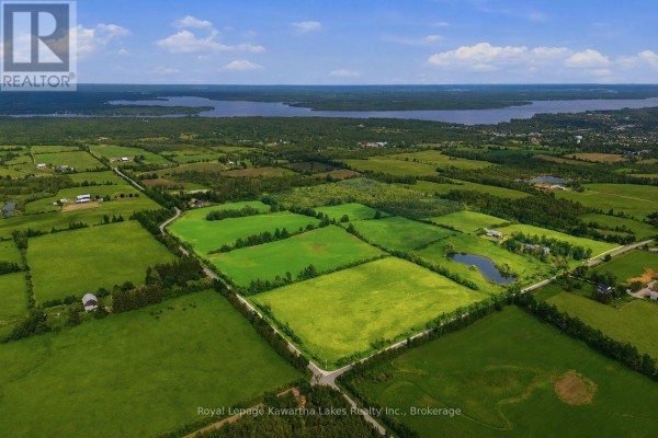 136 Oliver's Road, Kawartha Lakes, ON, photo 3