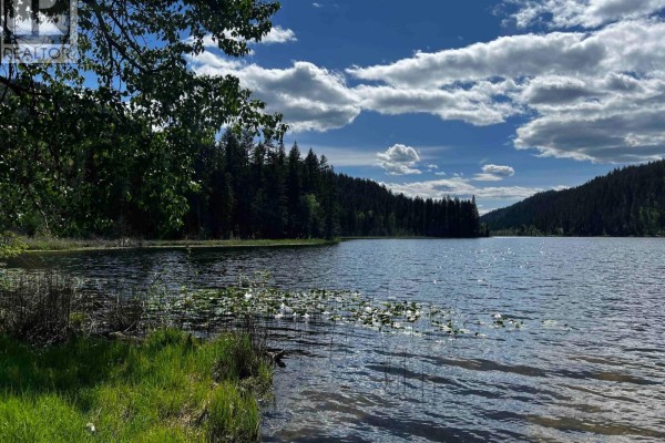 1360 Harper Lake Road, Kamloops, BC V0E2P0 Photo 3