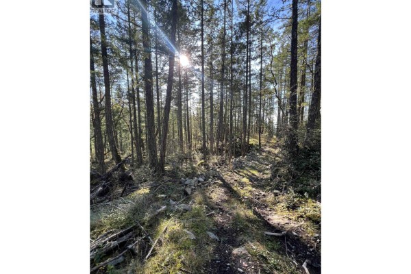 13607 Lee Road, Garden Bay, BC V0N1S1 Photo 3
