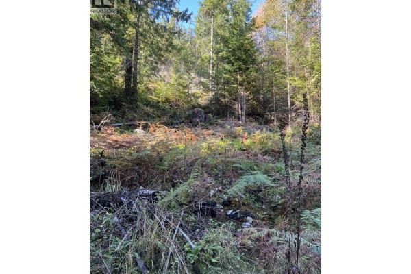 13623 Lee Road, Garden Bay, BC V0N1S1 Photo 4