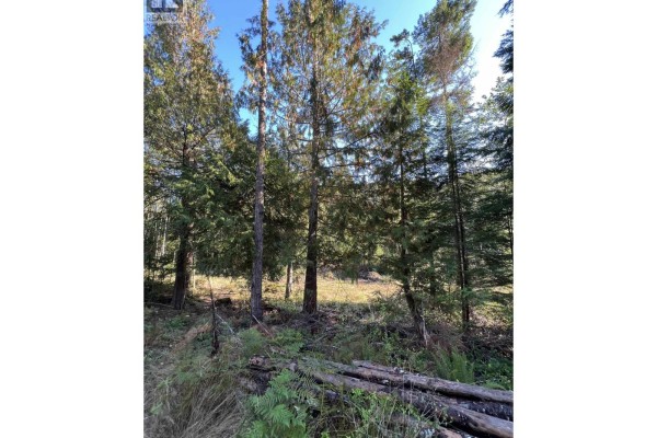 13623 Lee Road, Garden Bay, BC V0N1S1 Photo 5