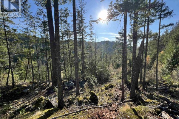 13645 Lee Road, Garden Bay, BC V0N1S1 Photo 5