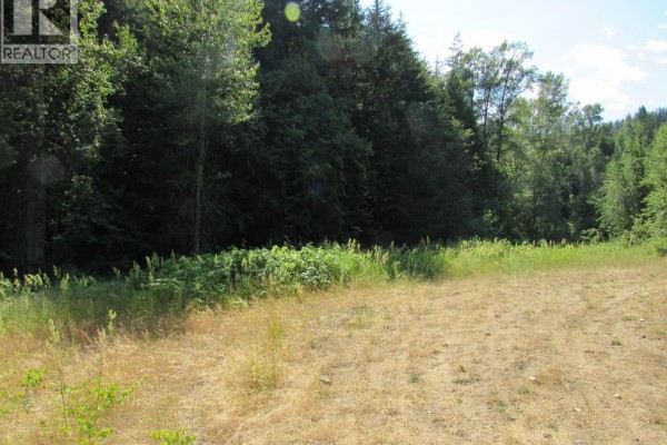 1365 Forest Road, Castlegar, BC, photo 2