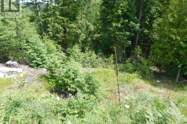 1365 Forest Road, Castlegar, BC, photo 3