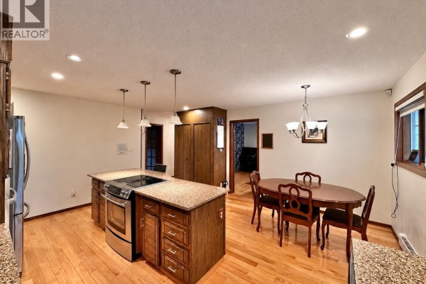 Recreational, Games room - 1365 S 5 Highway, Valemount, BC V0E2Z0 Photo 5