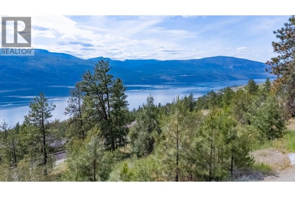 13698 Northstar Lane, Lake Country, BC V4V2S8 Photo 5