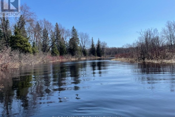 136b Maple Island Road, Whitestone, ON P0A1G0 Photo 2
