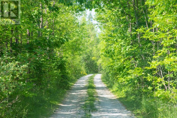 137 39th Side Road, Blue Mountains, ON, photo 2