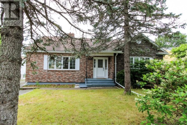 Office - 137 Elizabeth Avenue, St  John S, NL A1B1S2 Photo 2
