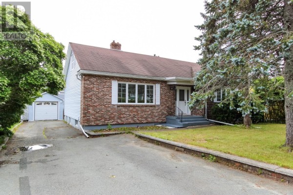Family room - 137 Elizabeth Avenue, St  John S, NL A1B1S2 Photo 3