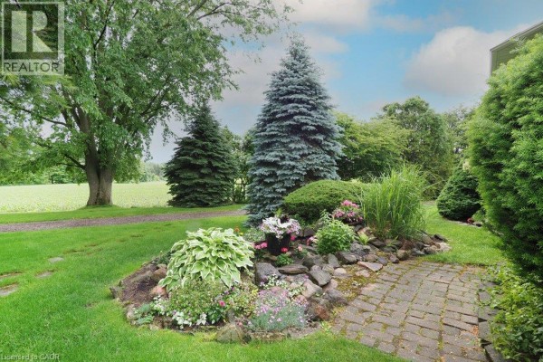 2pc Bathroom - 137 Foxboro Drive, Baden, ON N3A3N2 Photo 3