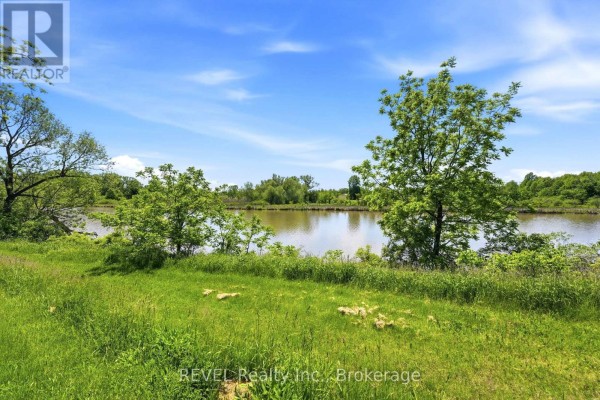 1373 Chippawa Creek Road, Thorold, ON L0S1K0 Photo 4