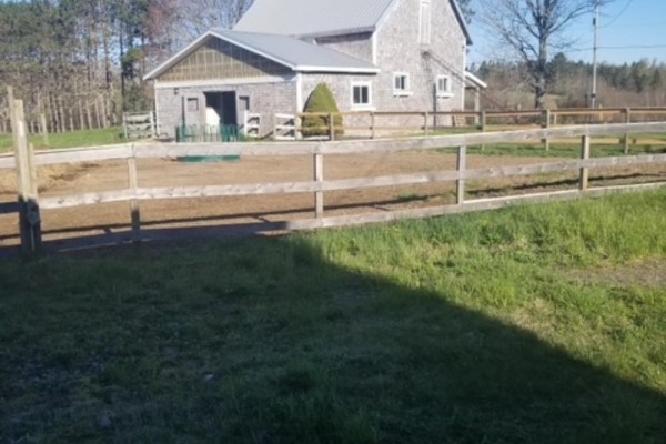 1374 Ns-236, Scotch Village, NS B0N2G0 Photo 2
