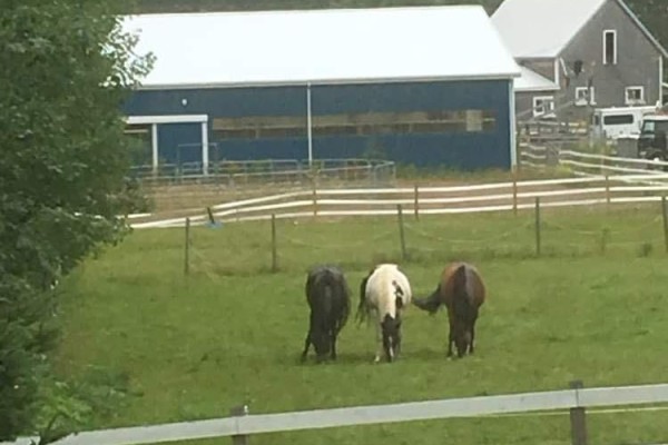 1374 Ns-236, Scotch Village, NS B0N2G0 Photo 4