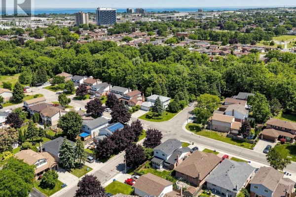 Panoramic aerial view of a suburban neighborhood with many trees and distant buildings. - 138 Strawberry Drive, Hamilton