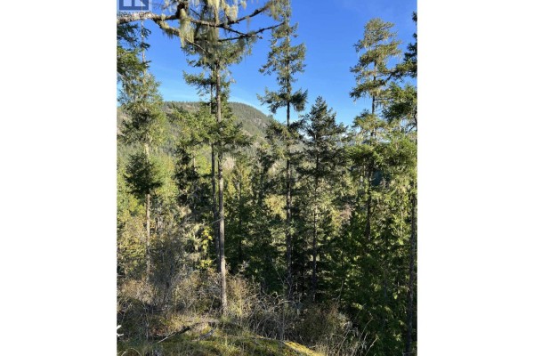 13808 Sakinaw Drive, Garden Bay, BC V0N1S1 Photo 5