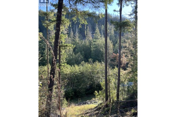 13830 Sakinaw Drive, Garden Bay, BC V0N1S1 Photo 4