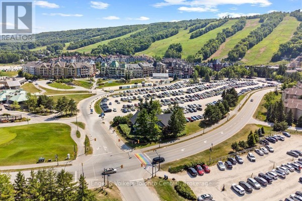 139 - 156 Jozo Weider Boulevard, Blue Mountains, ON L9Y0V2 Photo 5