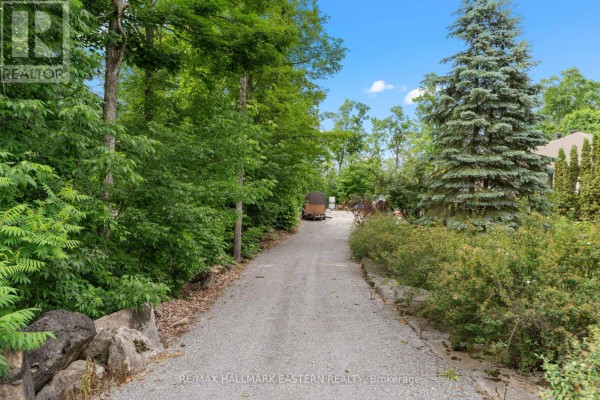 139 Lakeland Avenue, Trent Lakes, ON K0L1J0 Photo 4