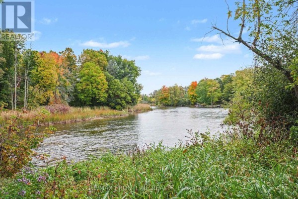 View of a calm river with trees showing fall colors on the banks, surrounded by tall green grass. - 139 Port Elmsley Road, Drummond/north Elmsley