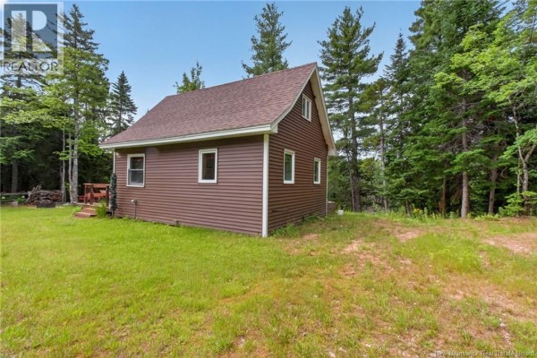 Side view of the brown cabin with white-trimmed windows, surrounded by green grass and tall evergreen trees. - 1391 Tweedie Brook, Kouchibouguac