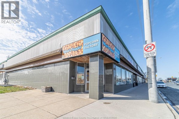 1395 Tecumseh Rd E Lower, Windsor, ON N8W2B9 Photo 3